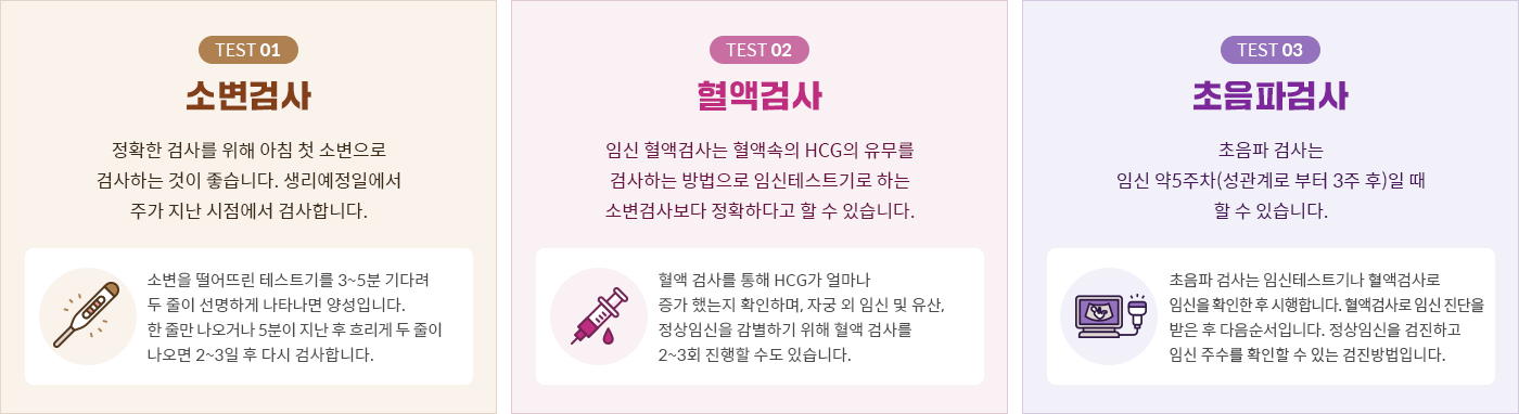 임신진단 소변검사 혈액검사 초음파검사